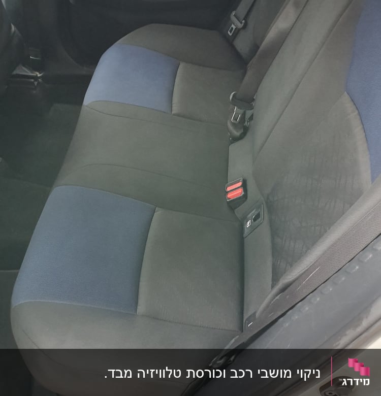 מושב אחורי של רכב עם ריפוד נקי